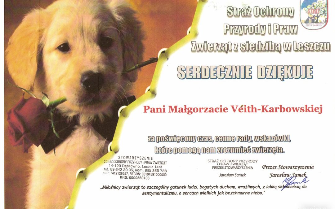 Spotkania z uczniami i wolontariuszami