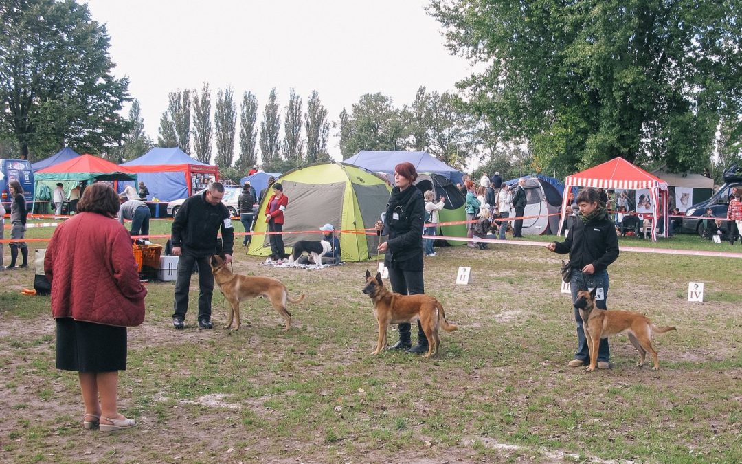 Zaległości wystawowe czyli szczęśliwy Włocławek i sukcesy na „Klubowej” Łodzi