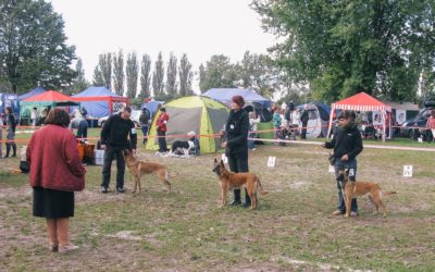 Zaległości wystawowe czyli szczęśliwy Włocławek i sukcesy na „Klubowej” Łodzi