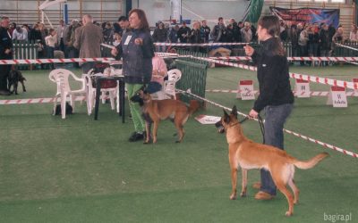 XIX Zimowa Wystawa Psów Rasowych w Nowym Dworze Mazowieckim