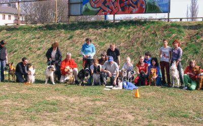 Latająca Akademia DOG CHOW w Sopocie 2011