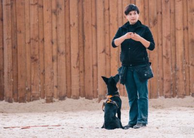 Bagira szkolenie psów behawiorysta - Szkolenie średniozaawansowane