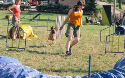 Obóz agility – Horni Sucha