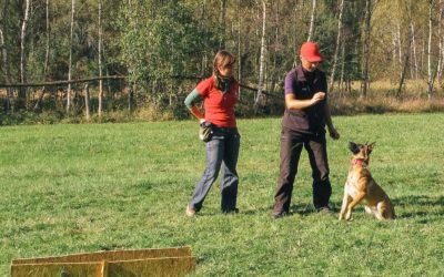 Seminarium z Agnieszką Boczulą