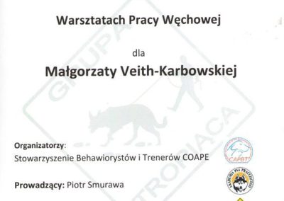 Bagira szkolenie psów behawiorysta - Certyfikat